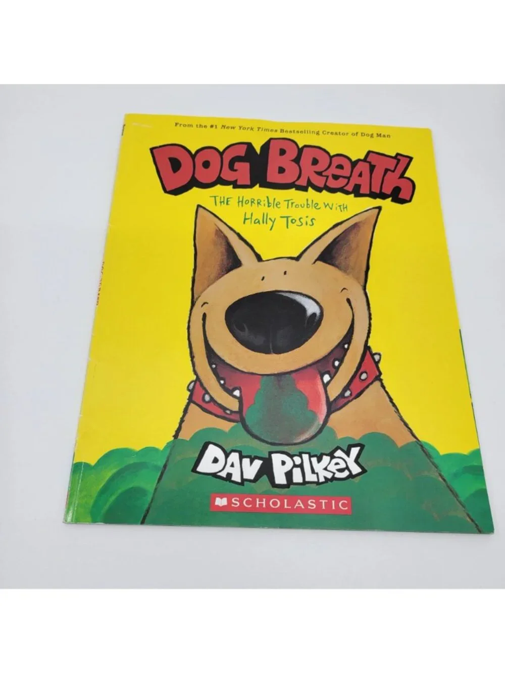 Scholastic dav pilkey
